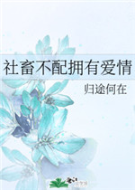 [综漫]社畜不配拥有爱情
